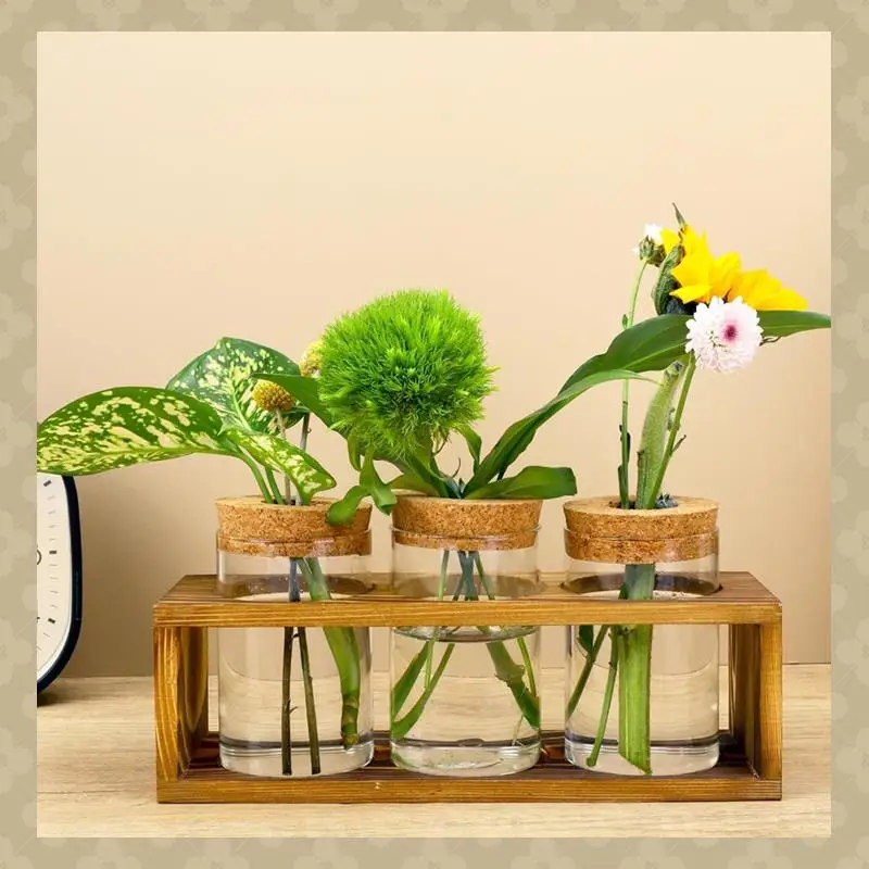 

AB45 Propagation Station,Glass Plant Terrarium For Plant Cutting,Enhances Homedcor,Perfect Indoor Centerpiece For Plant Lover