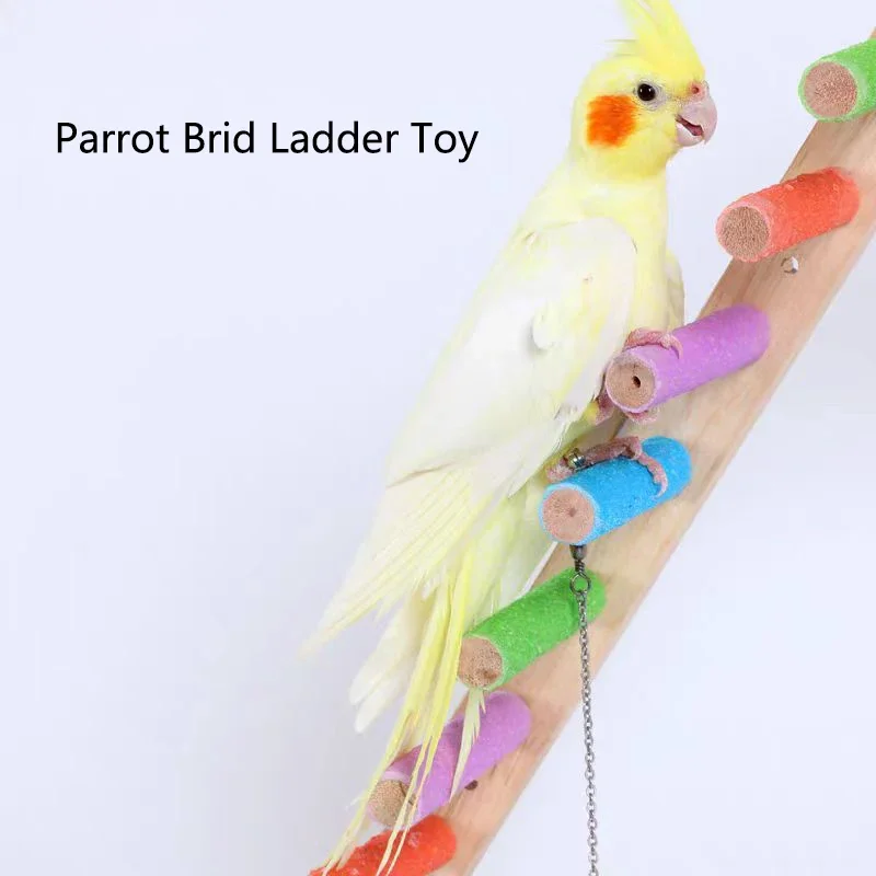 #8 Bird Cage Ladders Comparison Guide