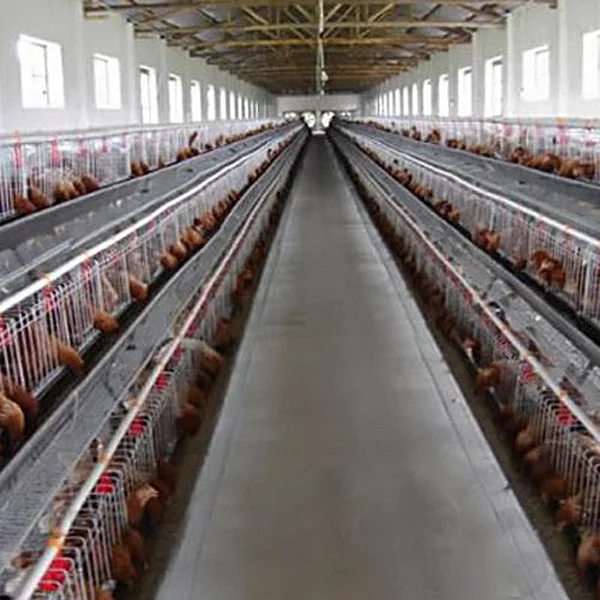 

10Pcs Red Threaded Style Poultry Drinking Nipples Food-Grade Steel Hard Plastic for Chicken Turkey Duck Watering