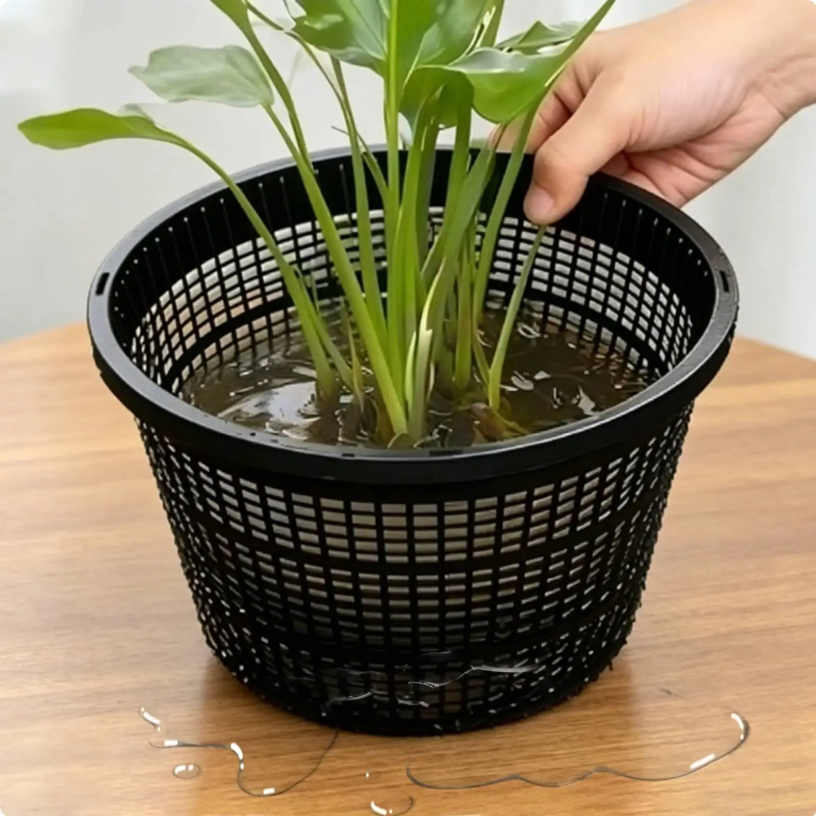Hydroponic Planter Plastic Round Slotted Mesh Basket Aeration for External Plant Ponds and Flower Enthusiasts