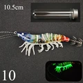 Squid -10