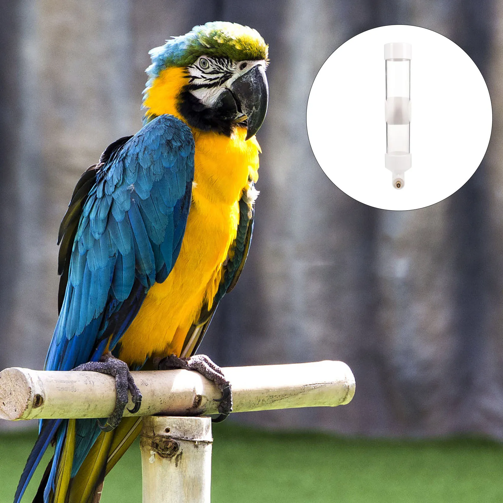 

Plastic Pet Bird Water Feeder Parrot Automatic Drinking Device Cage Suspended Water Dispenser Suitable for Pigeons Parakeets