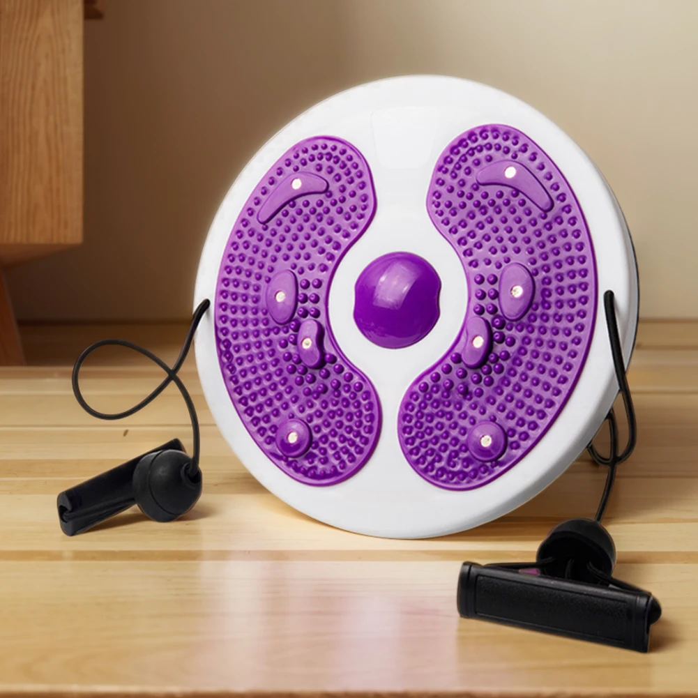 Magnetic Waist Twist Board 2