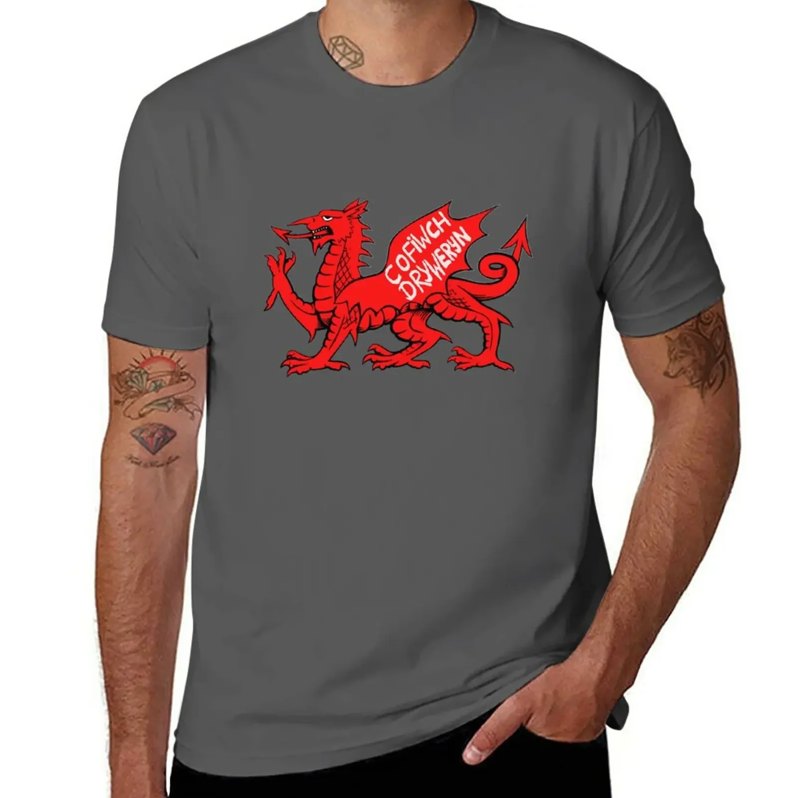 Cofiwch Dryweryn on the Red Dragon (V1) T-Shirt sports fans for a boy anime clothes big and tall t shirts for men