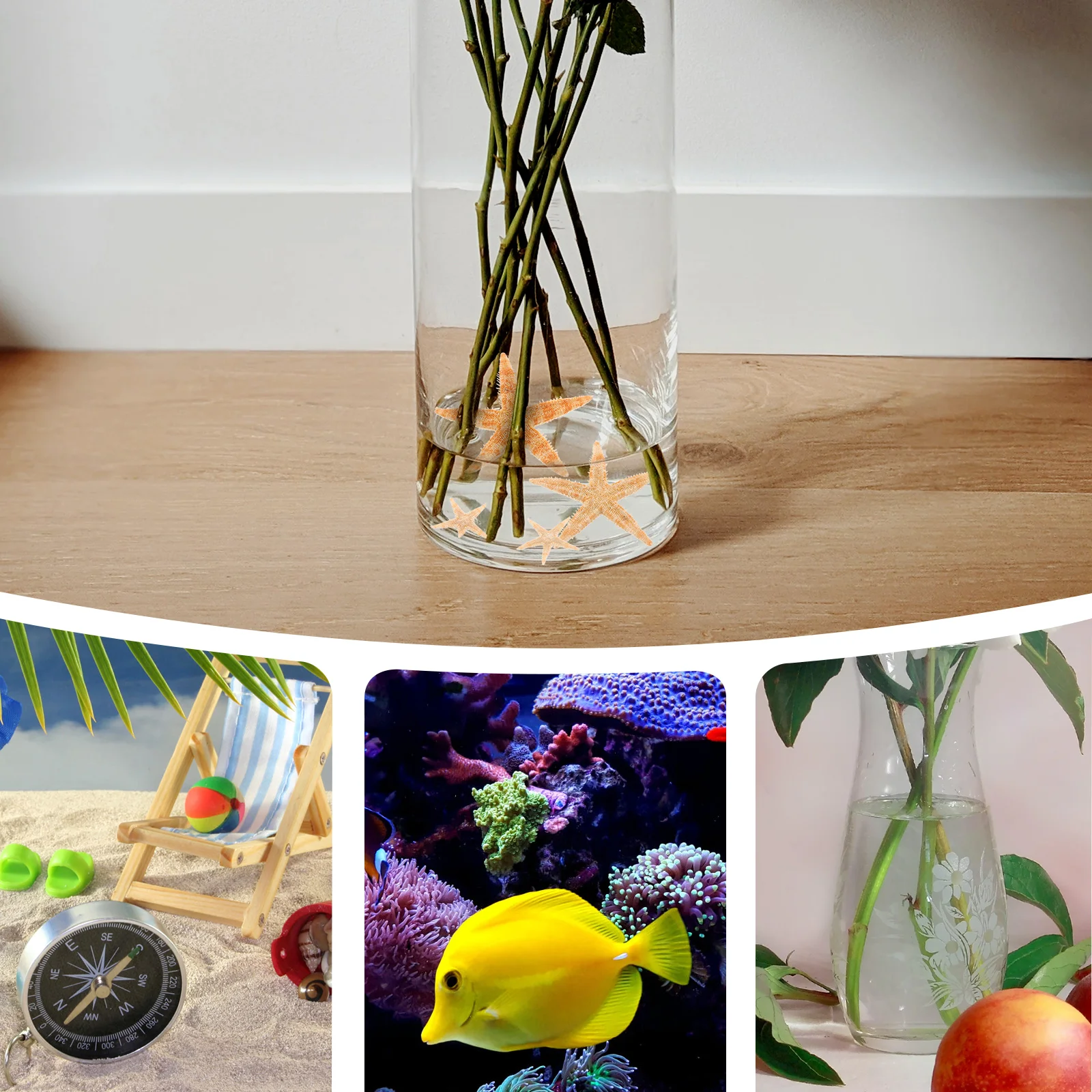 

100Pcs Shells Decorative Shell Craft DIY Aquarium Adorn Natural Visual Feeling Beach Party Decoration