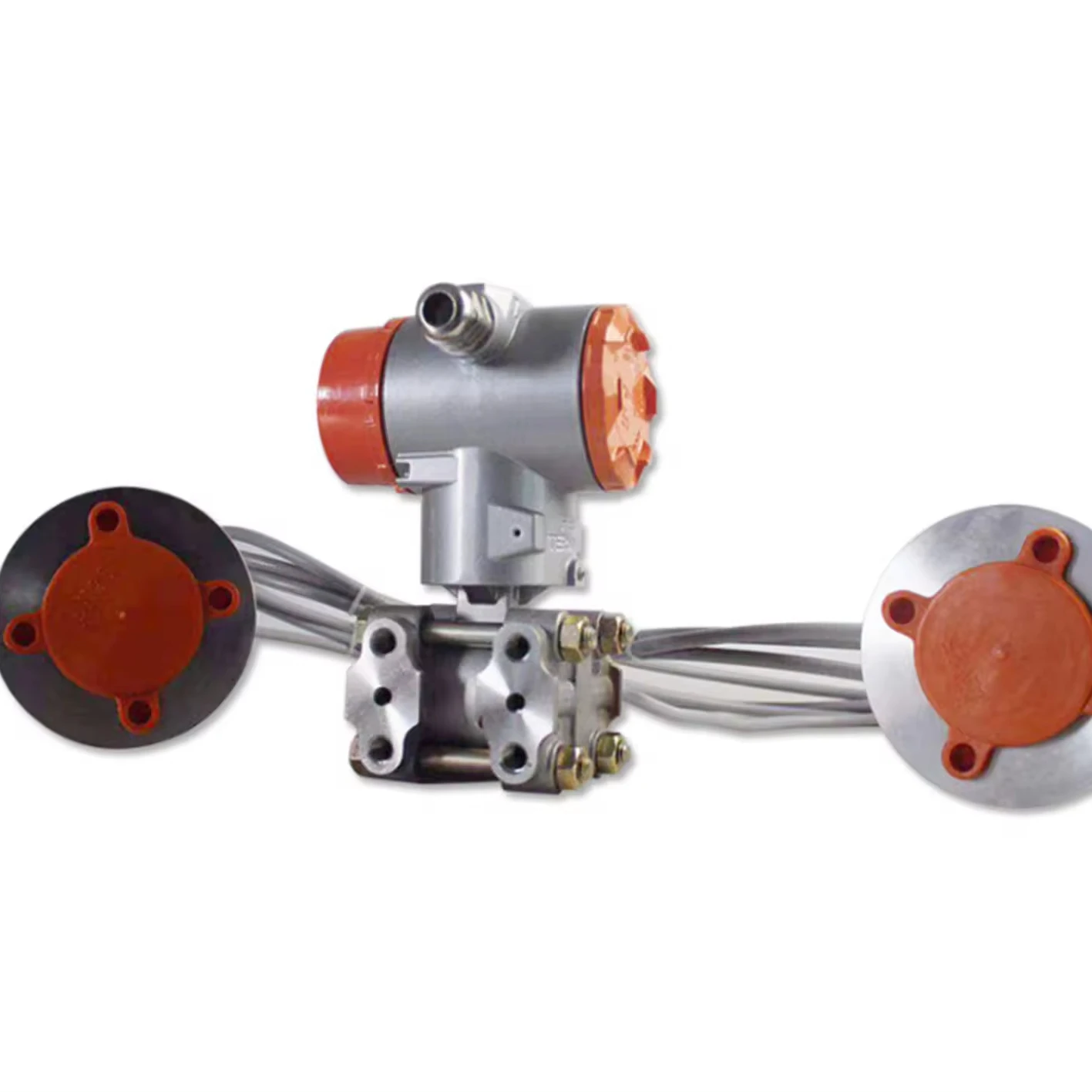 

Capillary Level Transmitter Double Flange Capacitive Differential Pressure