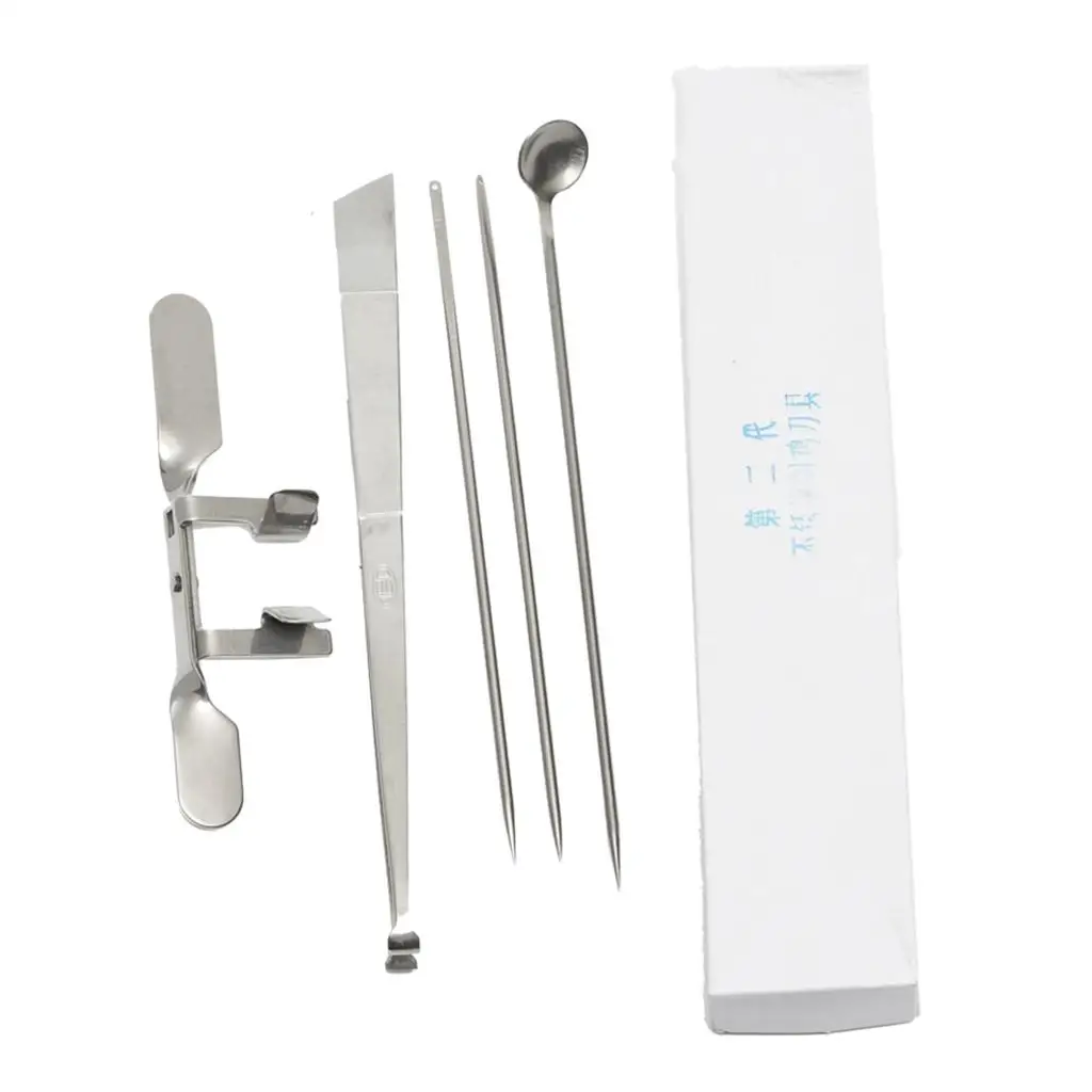 5pcs / set Caponization Set of Stainless Steel Chicken Capons Tools