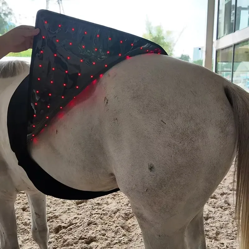 Infrared Red Light Therapy Horse Rug Equine Blanket for Animal Care Belly Leg Back Pad Treatment