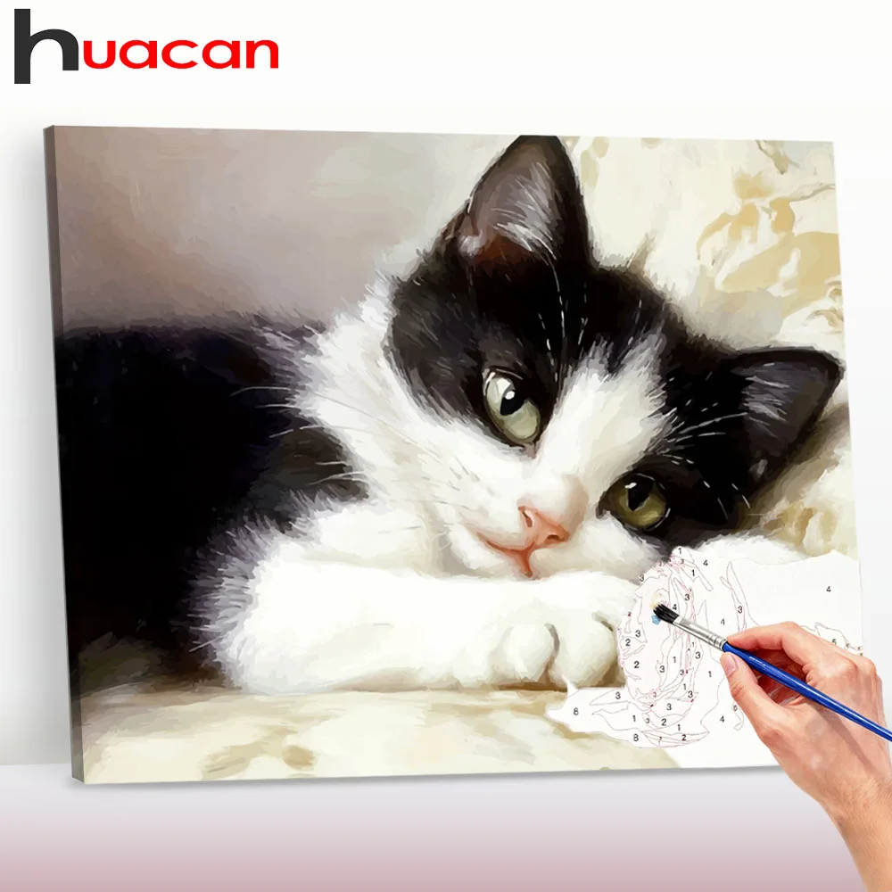 Huacan Malen nach Zahlen für Erwachsene Tier Handgemaltes Ölgemälde Katze Leinwand Ausmalbild Heimdekoration ﻿ ﻿