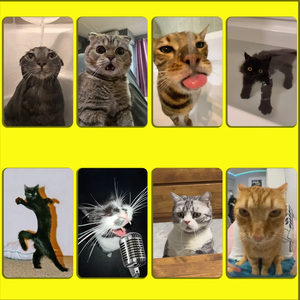 Pet Cat Funny memes Stickers For Debit Bank Credit Cards Metro Bus Pass Sticker Decoration Cover 4PCS Card Skin