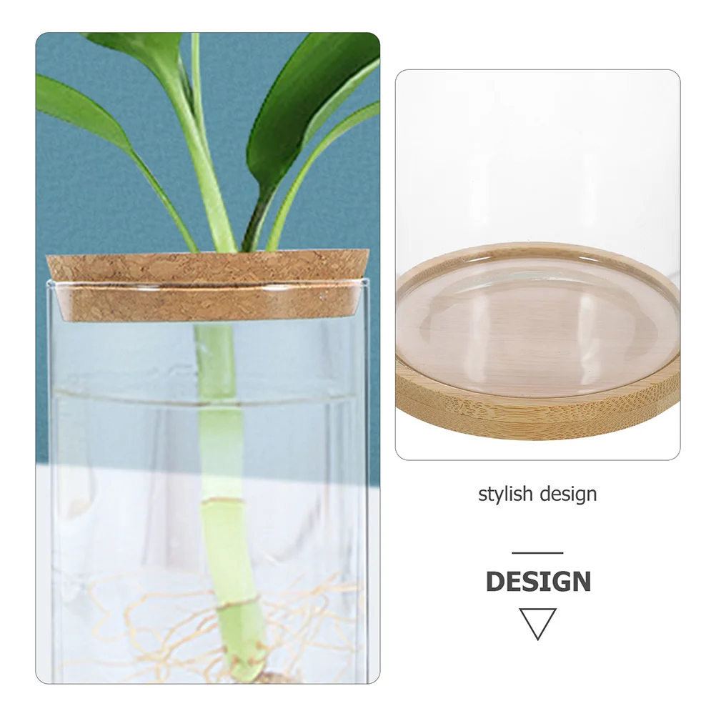

1 Set Clear Glass Terrarium Bottle With Wood Stopper For Micro Landscape Diy Moss Plant Container Hydroponic Ecosystem Jar Small