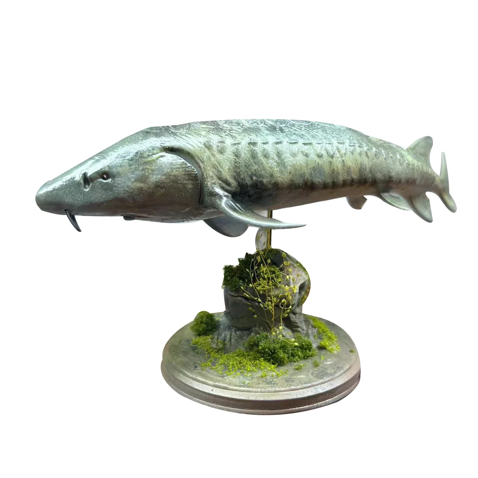 Alex Studio 1/35 Chinese Sturgeon Model Acipenser Sinensis Marine Animal Painted Collection Decoration Birthday Gift For Adult