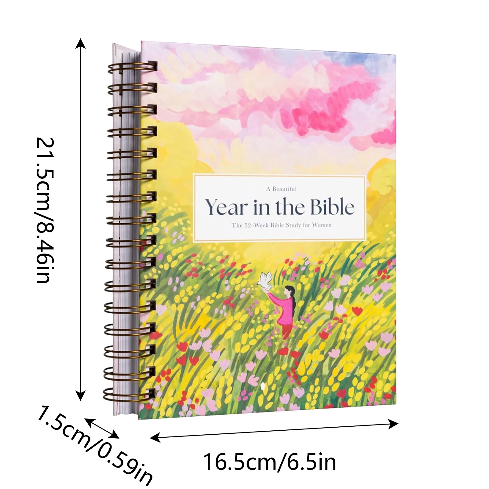 52-Week Bible Journal 6