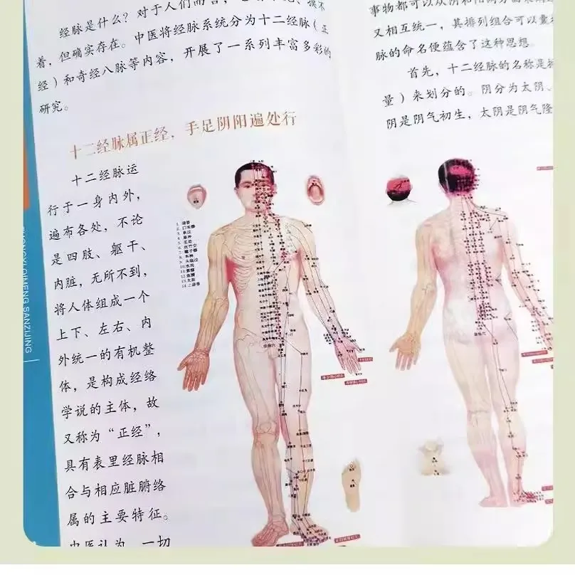 Immagine 4: Libro di rima della medicina tradizionale cinese: pagina classica a tre caratteri annotata da 257