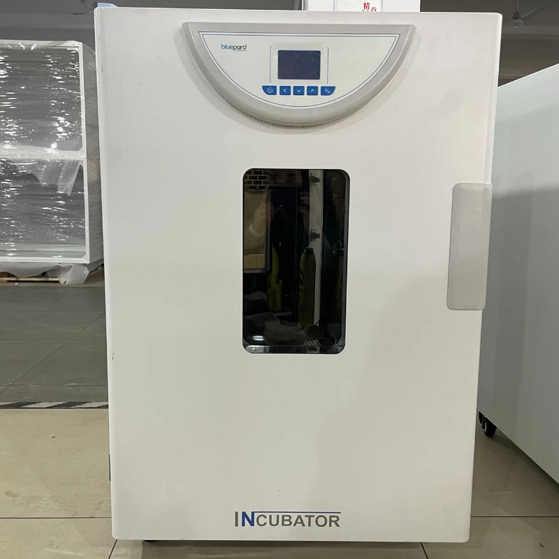 LCD With Multi-segment Program Precision Laboratory Equipment Thermostatic Laboratory Microbiology Bacteria Incubator