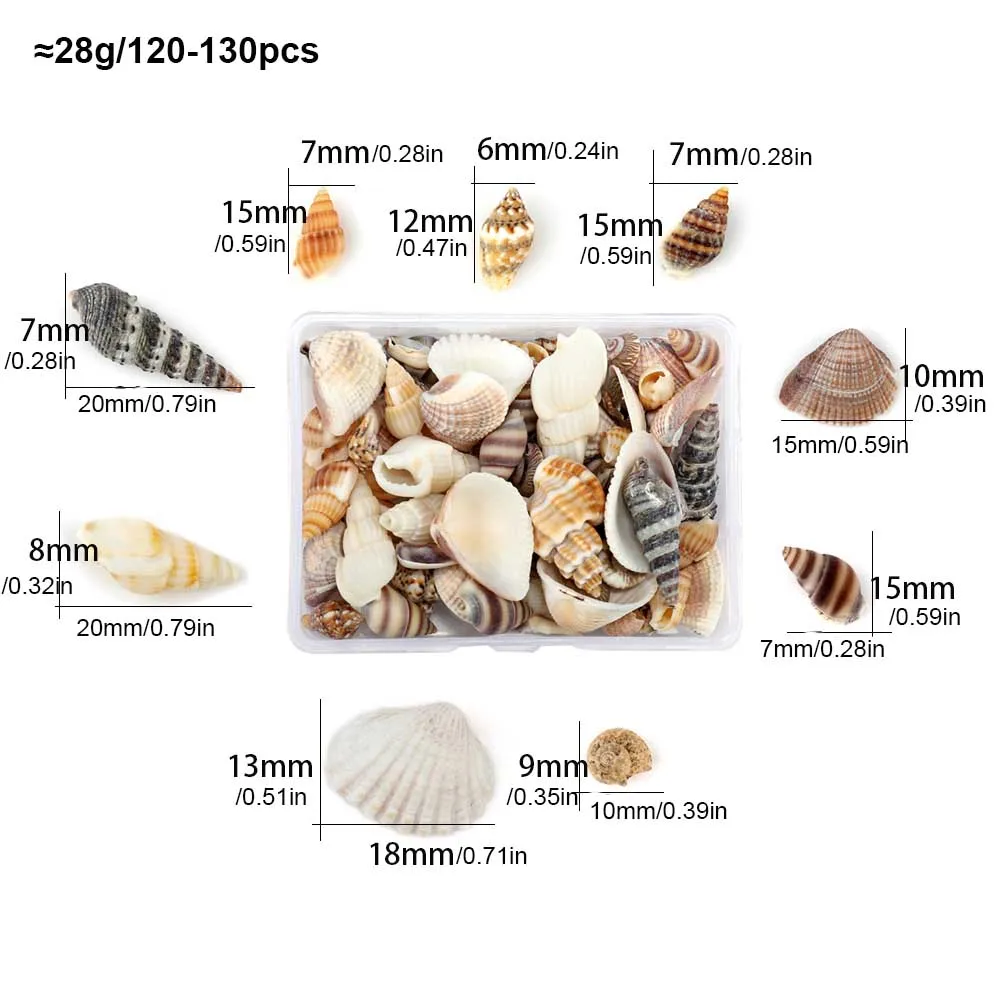 1 Box Sea Shells Spirals Shell Tiny Ocean Spirals Seashells Crafts Aquarium Decoration Landscaping Accessories Photography Props