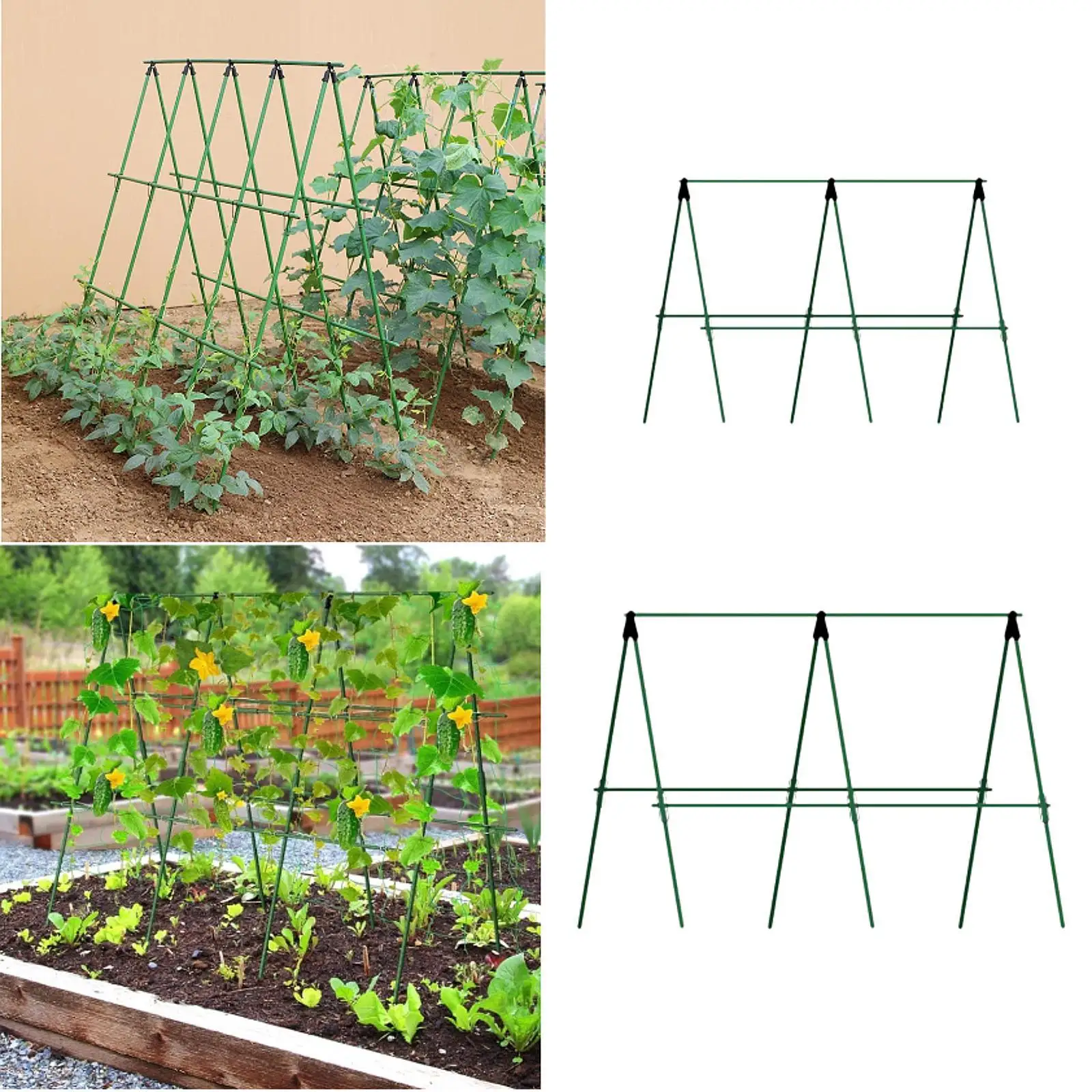 

Cucumber Trellis Plant Grow Support Tomato Cage Garden Trellis Plant Stakes for Fruits Raised Bed Balcony Farmyard Indoor