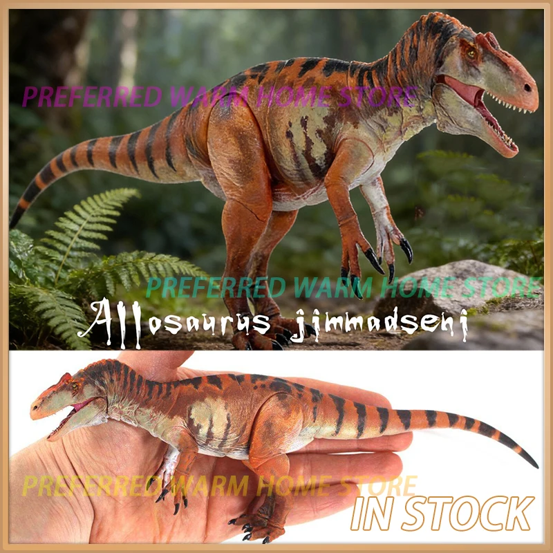 

В наличии: Модель динозавра Аллозавр (Jimmadseni) из мезозойского периода, масштаб 1/35, 25 см, подвижная, коллекционная.