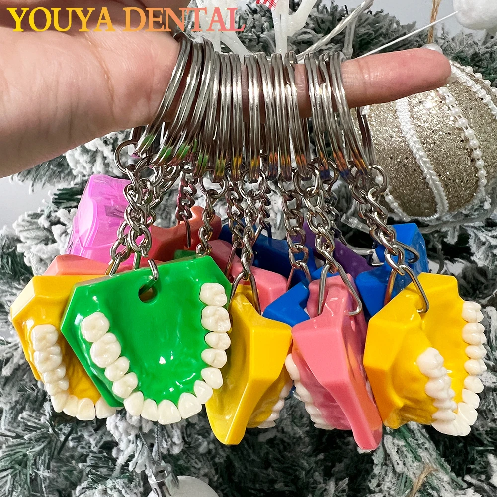 

Dental Gifts Dentist Pendant Simulation Mini Denture Keychain Funny Resin Tooth Key Chain for Bag Hanging Ornament Car Key Rings