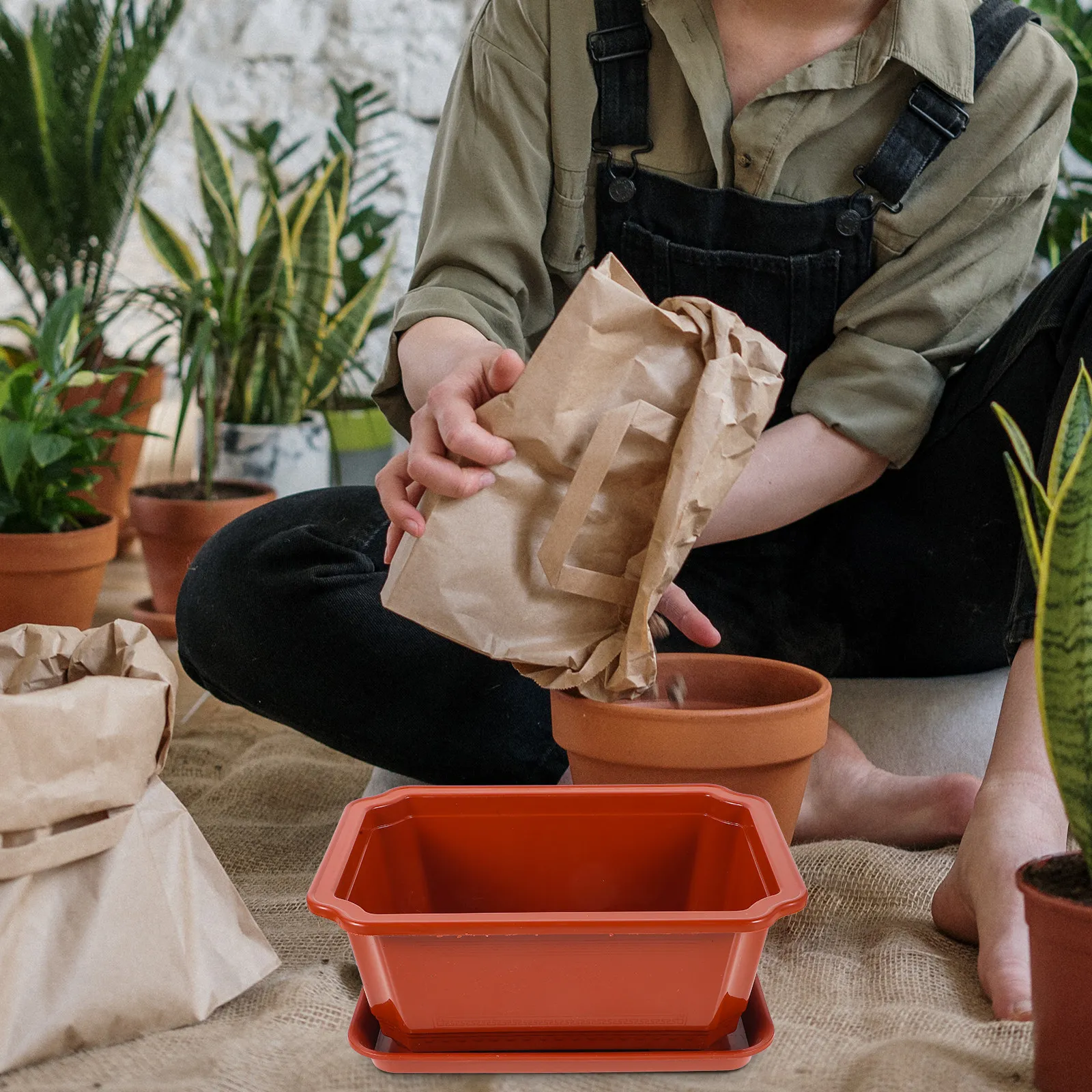 

2 шт. Элегантные легкие пластиковые овальные горшки для бонсай, большие кашпо для комнатных растений, для пересадки и декора