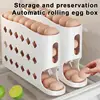 Egg Holder Eggs Organizer Sliding Rail Shelf Refrigerator Stand Accessory Storage Rail Box Container Organization Kitchen 1