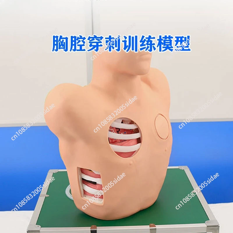 

Тренировочный тренажер Thoracentesis Pneumothorax Hydrothorax | Учебная модель для ухода за ранами на груди для студентов-медсестер и медицинских учреждений