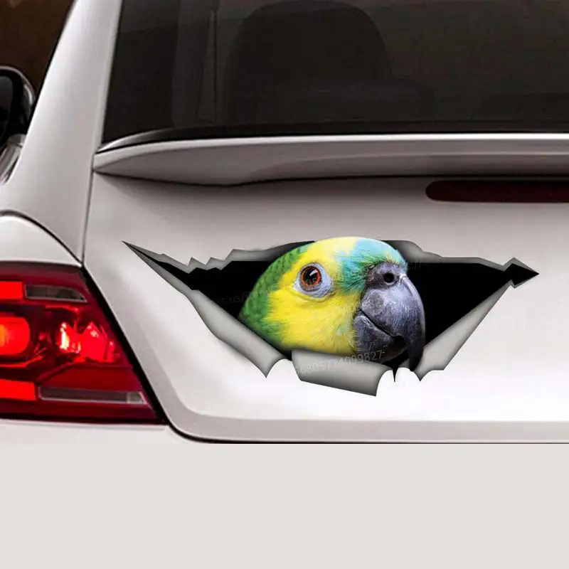 Blue Fronted Amazon parrot Car Sticker Waterproof Decal Bumper Rear Window Laptop Self-adhesive Decal For Car Accessories SH171