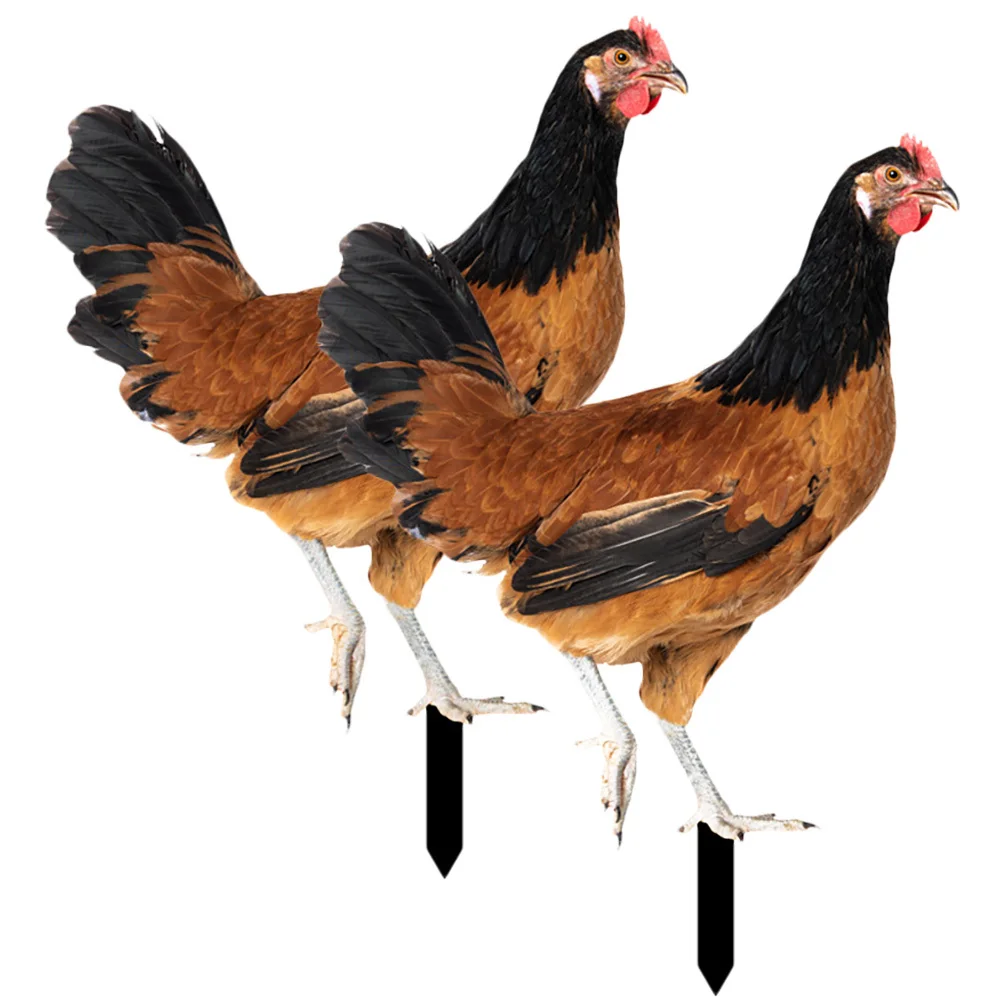 2Pcs Acrylic Chicke… - image