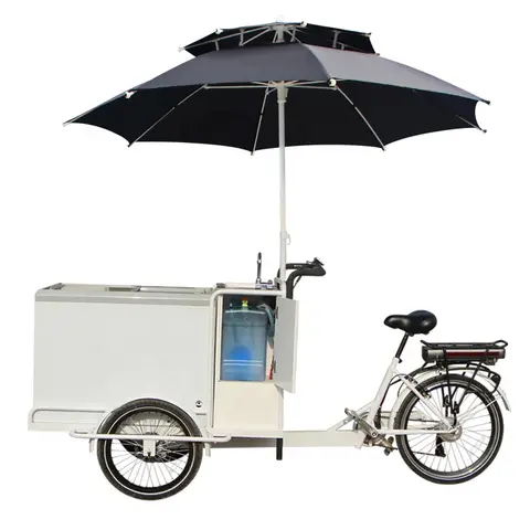 Outdoor Push Drinking Bike Solar Power Ice Cream Cart Freezer Electric Tricycle For Sale Street Vending Electric Ice Cream Bike