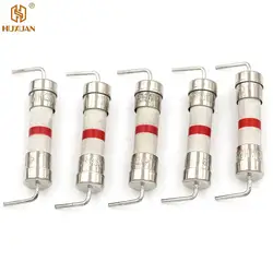 5Pcs 8A 250V 5*20mm Ceramic Body Time-lag Axial Lead Fuse 3/16