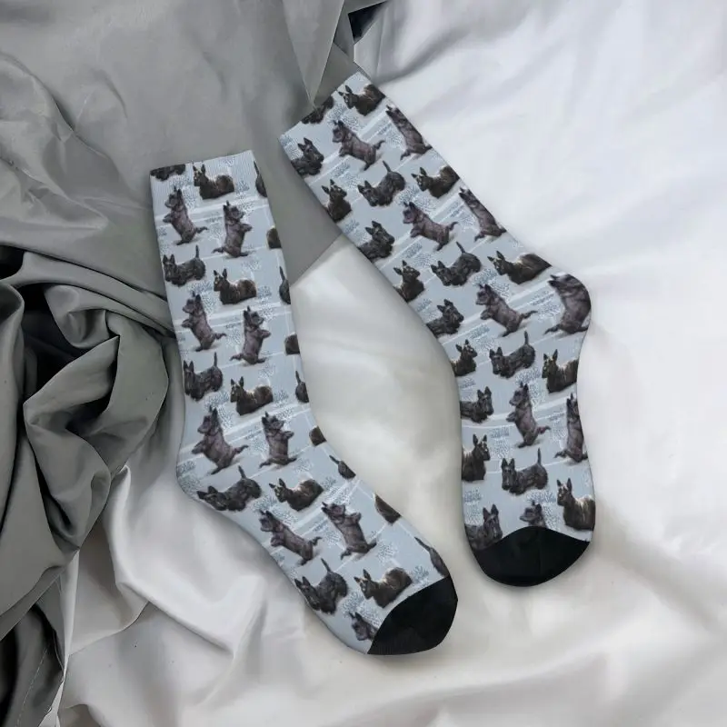 The Scottish Terrier Dress Socks uomo donna Warm Fashion novità Scottie Dog Tartan Skye Crew Socks