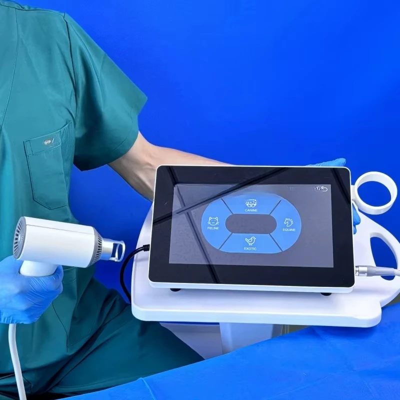 Curelas Professional Pet Hospital High Power Therapy Device for Animal Recovery Treatment
