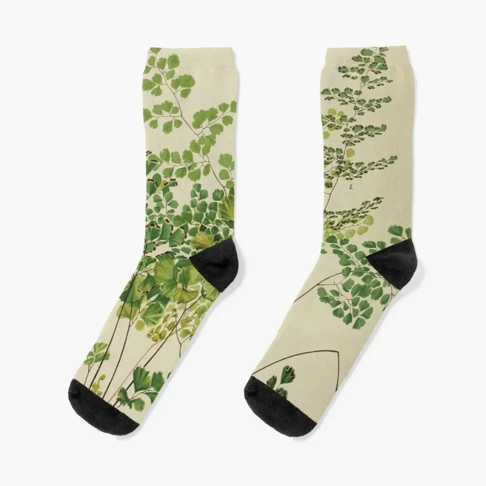 

Maidenhair Ferns Socks professional running Children's retro ankle Luxury Woman Socks Men's