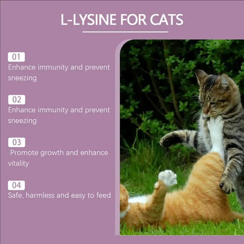 Comprimés de renforcement fongique pour chat, supplément nutritionnel pour chaton, vaccination, santé iratoire, rencontre de larmes, comprimés dissolvants, 80 pièces