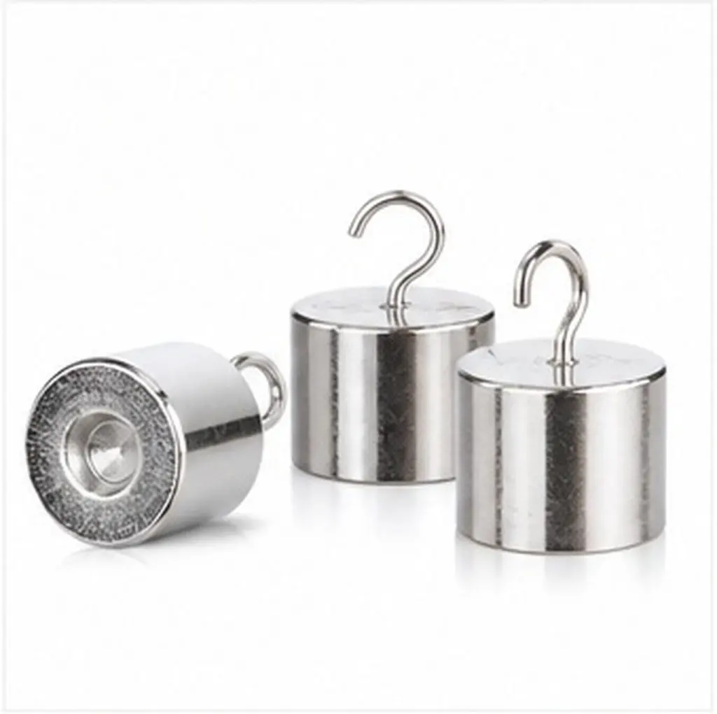 10Pcs Slotted Iron Weights Kit Physics Lab Weights for Teaching Lever Principle Gravity Experiments Study Weight Pieces