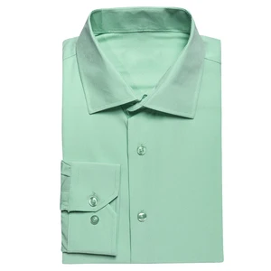 Simple silk shirts for men, smooth shirts, long sleeve, lapel suit, blue, mint, pink, purple, green, gray, wedding, business, hi-tie 8 Main Sales Mint Green Blouse - №4