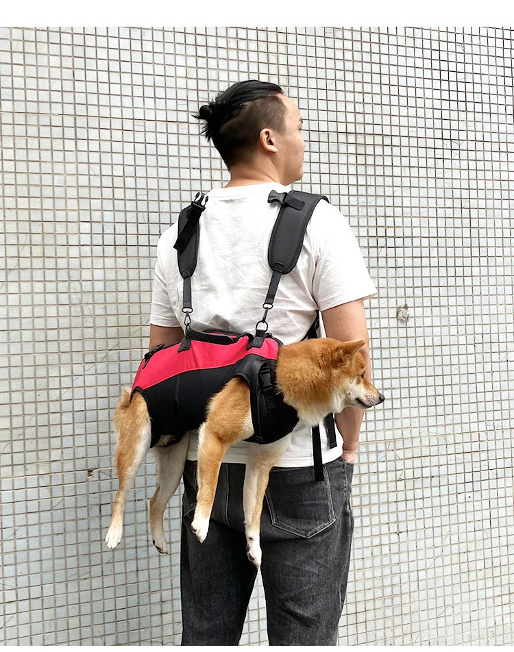 #23 Trending Puppy Walking Bags Right Now