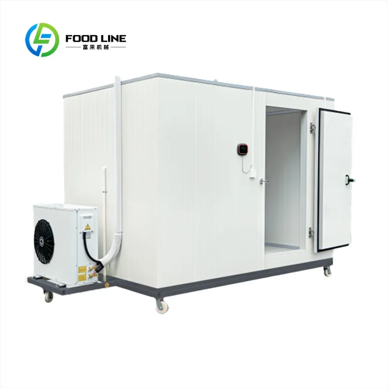 Customized Smart Cold Storage Portable Cold Storage Electric Powered Mobile Cold Room for the Preservation of Meats and Fish