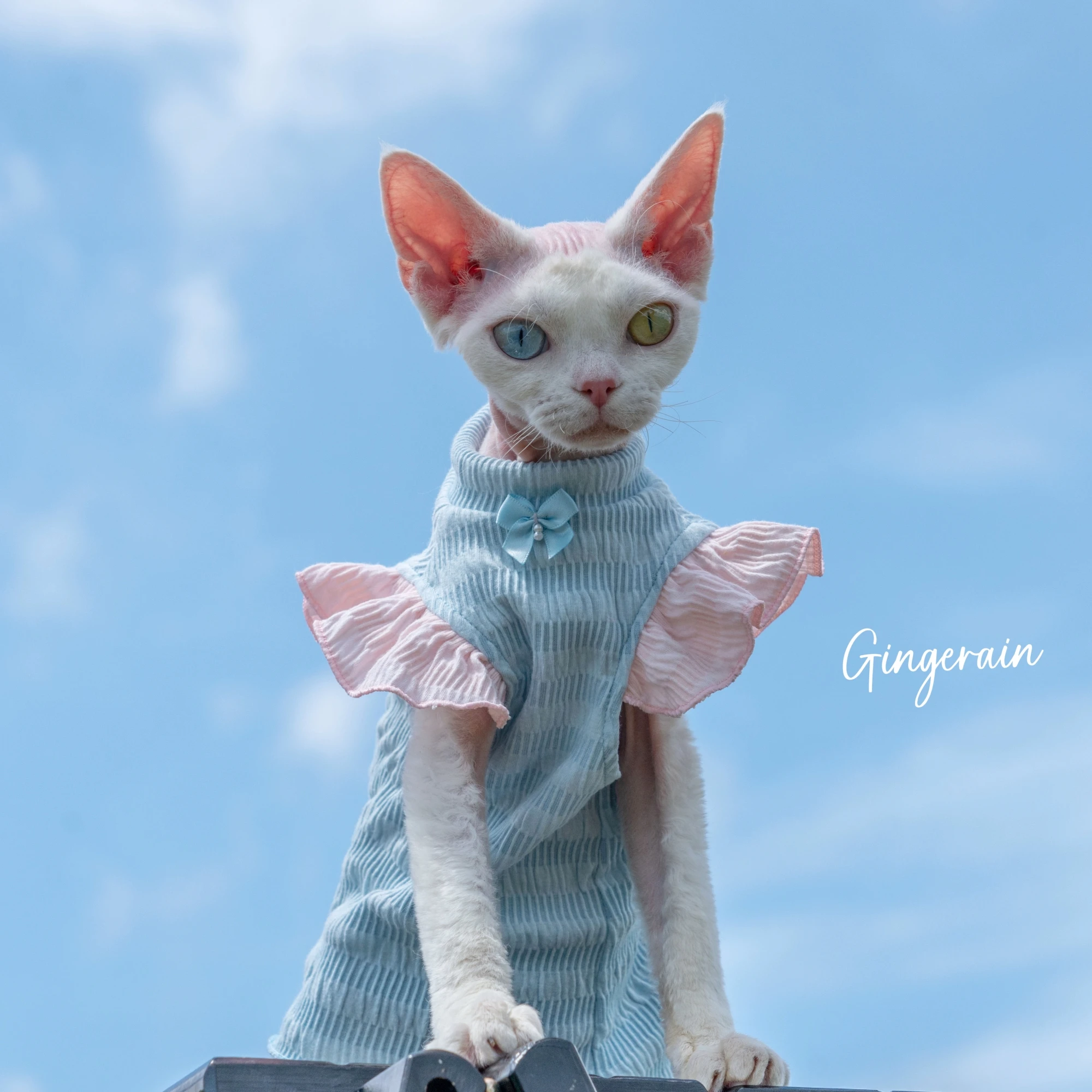 Handmade Cats Clothing Soft Cotton Vest For Sphynx Cat Short Ruffled Sleeves Jumpsuit for Kittens Summer Dress for Revon Rex