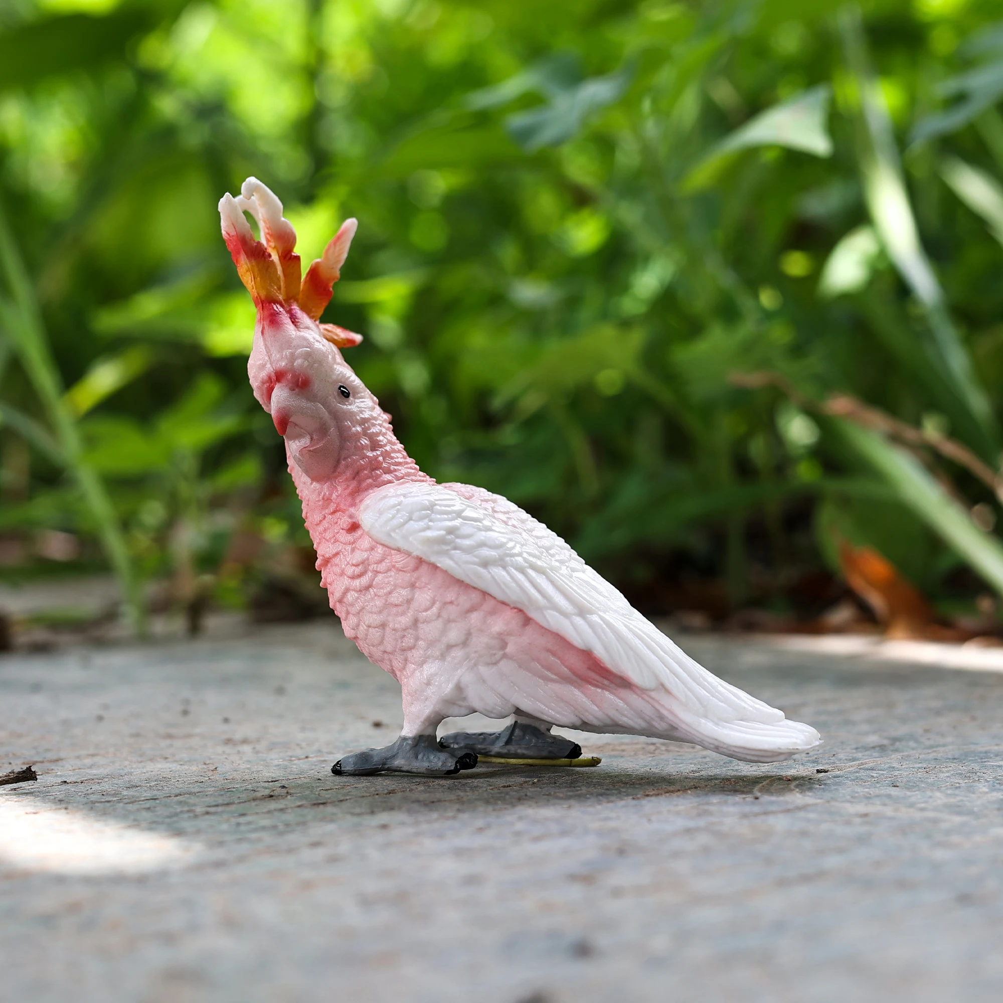 Classic Bird Animal Flamingos Parrot Sea Mew Peacock Owl Ostrich Model Solid PVC Action Figures Miniature Education Toy