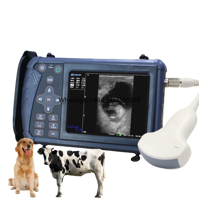 

4d Portable Vet ultrasund Touch Screen Price Rectal