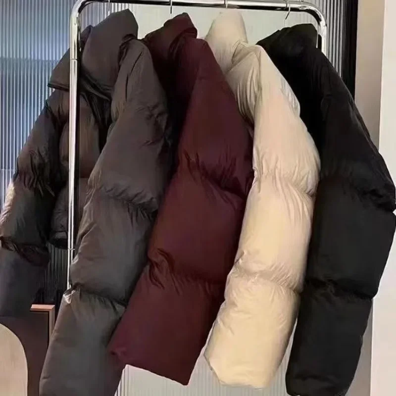 Chaqueta de plumas con cuello levantado para mujer, abrigo corto holgado con cordón, Parkas coreanas con cremallera, Color sólido, Otoño e Invierno