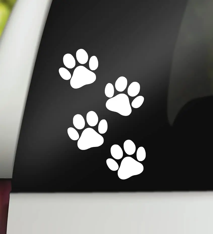 4" X 6" Paw Prints …