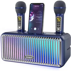 Portable Wireless BT Stereo Speaker with Duel Microphone Support TV Projector Laptop Mobile Phone Family KTV Karaoke Players