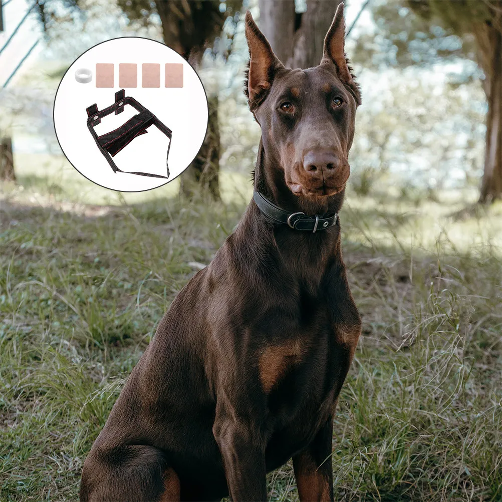 Pet Ear Stand and Support Kit Dog Ear Posting Supplies for Puppies Adjustable Ear Sticker for Doberman Training Tool