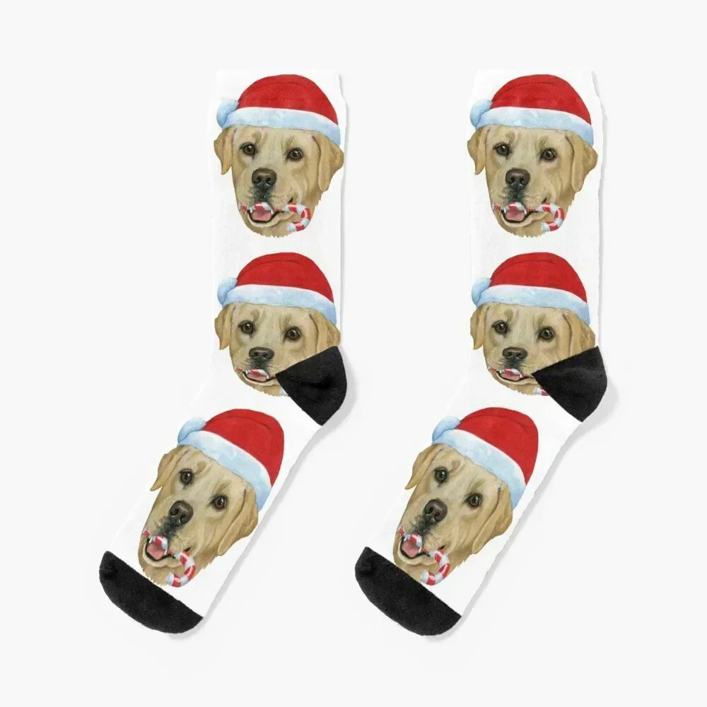 

Christmas Yellow Lab Socks christmass gift Crossfit cartoon anti-slip Men's Socks Luxury Women's
