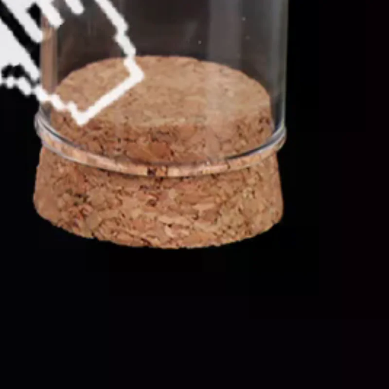 

1/6 Doll Glass Dome Display Wood Cork Bell Jar With Wooden Base Decoation Craft