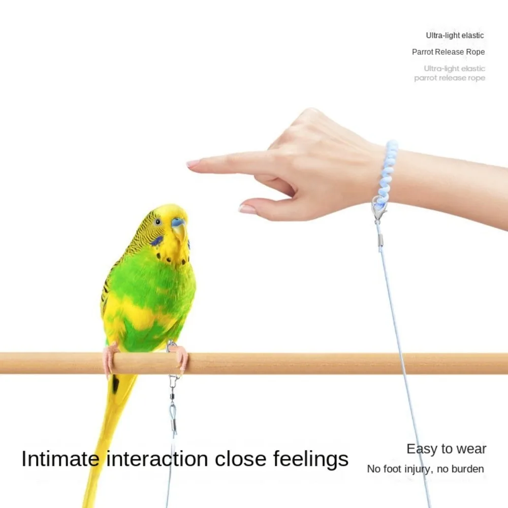 Elastic Parrot Traction Rope Anti-flying Metal Buckle Parrots Training Leash Multiple Size Lightweight Bird Foot Chain for Birds