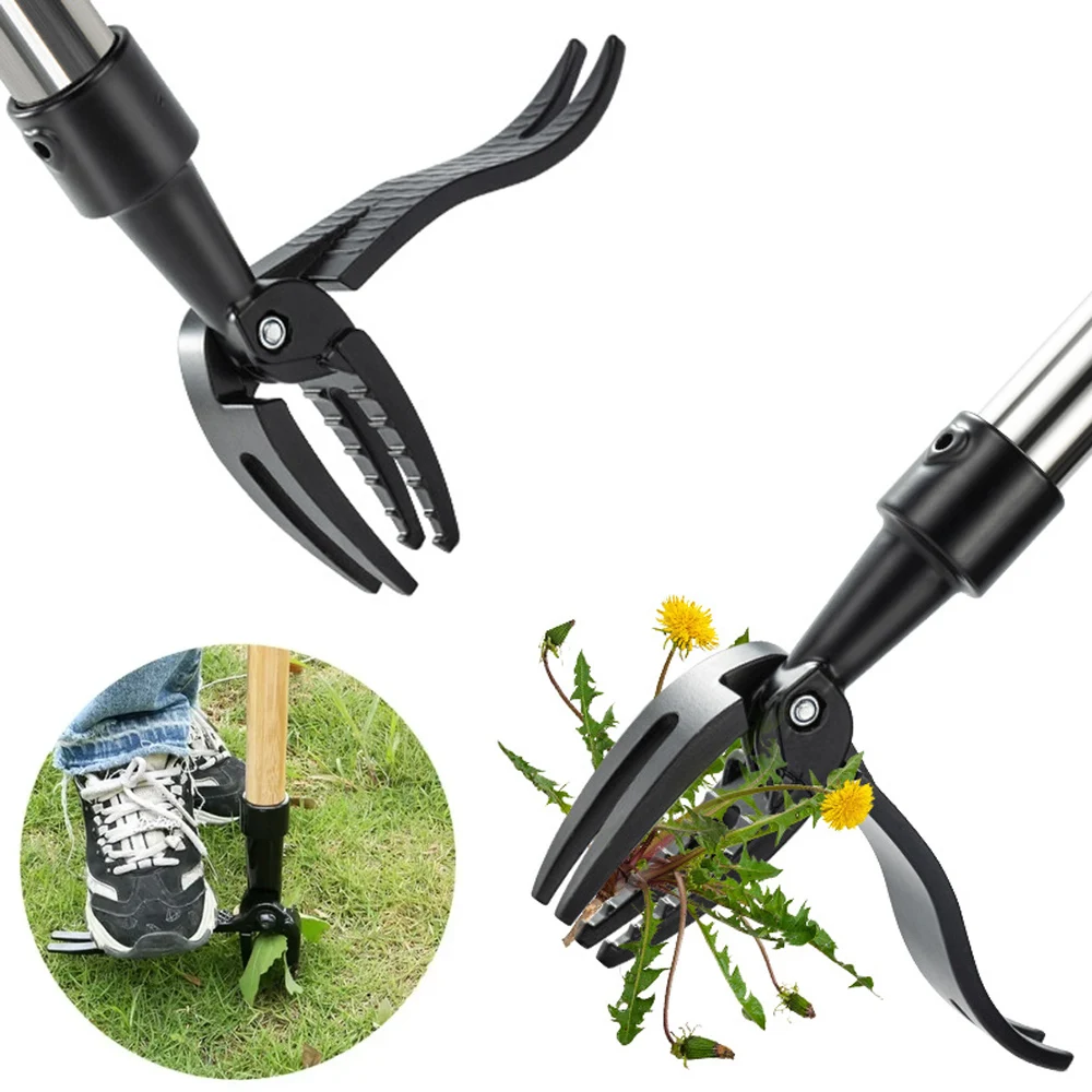 Herramienta extractora de malas hierbas de pie, cabezal de deshierbe con cabeza de acero de 4 garras, elimina fácilmente malas hierbas sin doblar, herramienta eliminadora de raíces para patio de césped