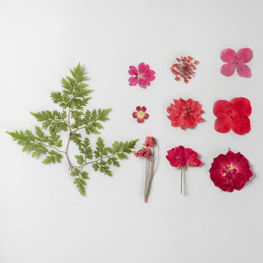 35pcs Dried Flower Diy Pressed Flower Specimens Dried Flower Art Decoration Diy Home Decoration